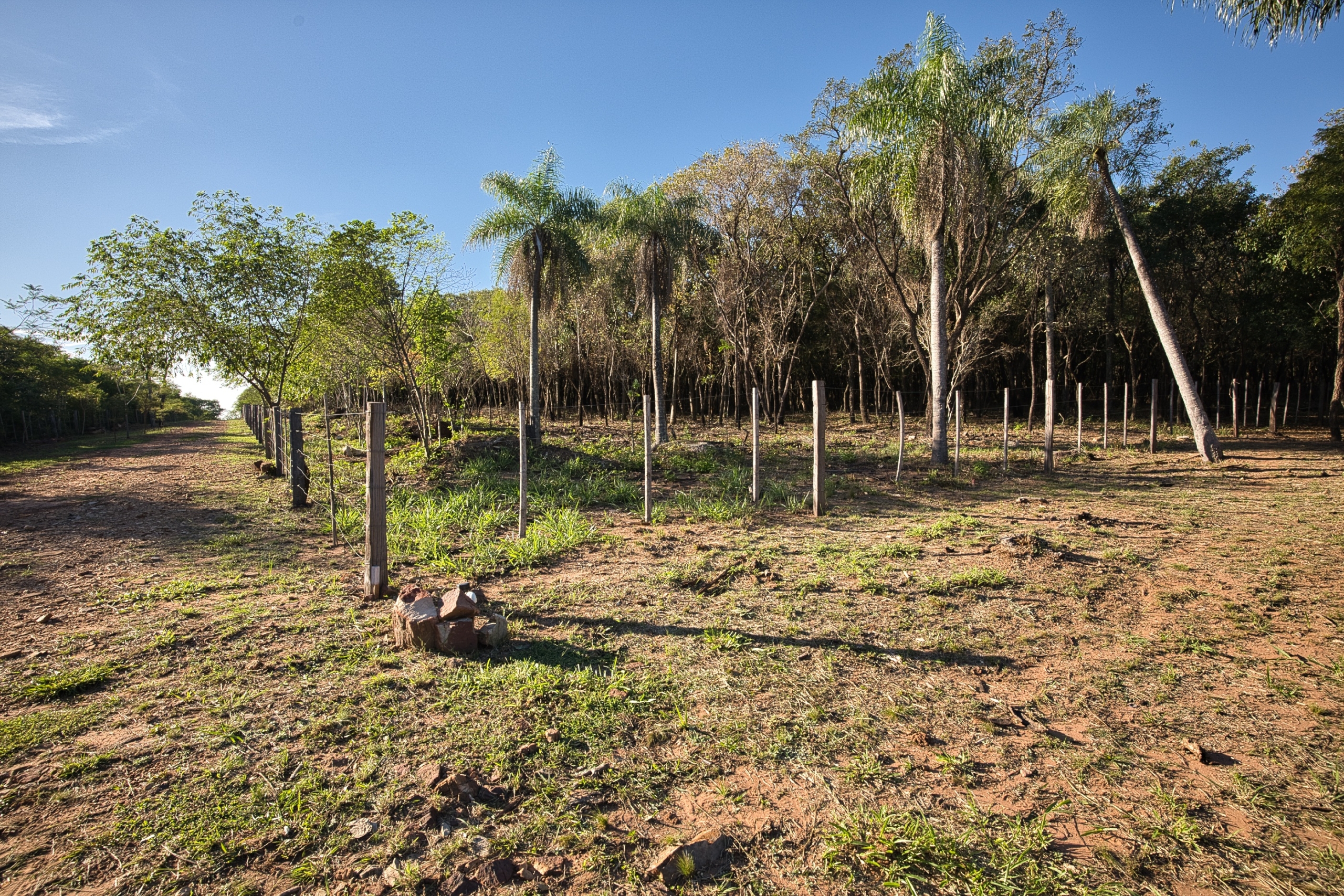 San Berno 1020625 Grunddsc 9093