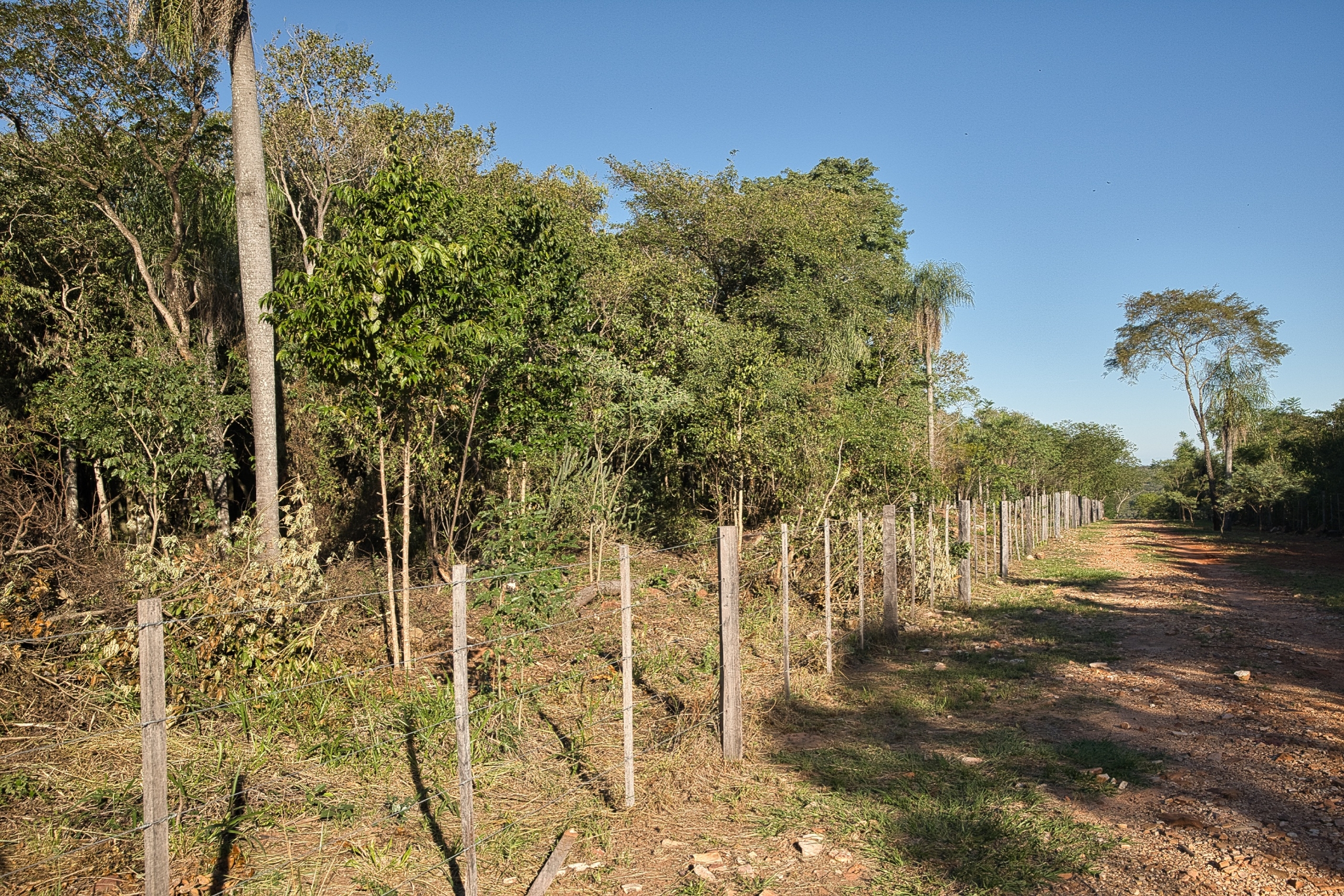 San Berno 1020625 Grunddsc 9094