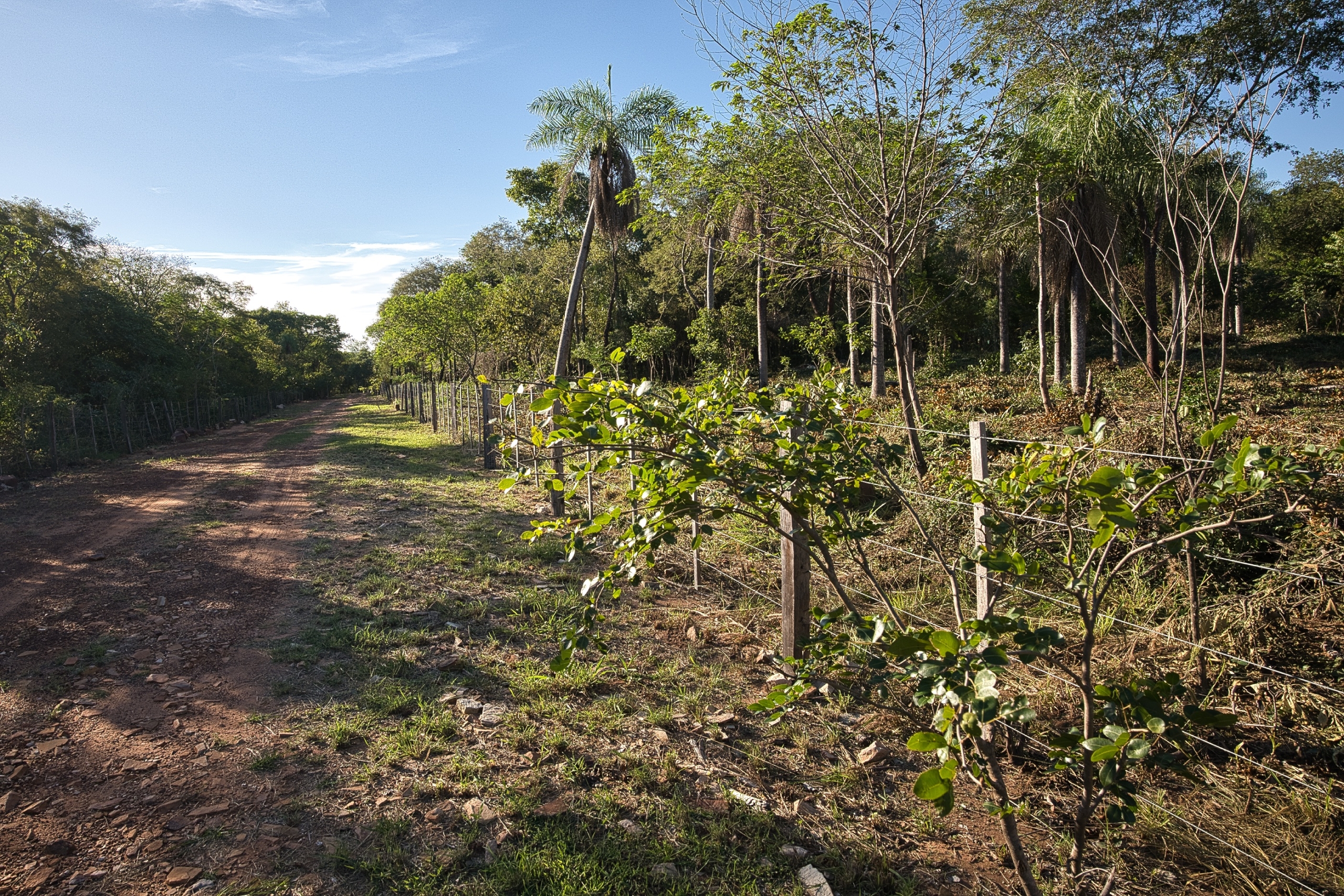 San Berno 1020625 Grunddsc 9095