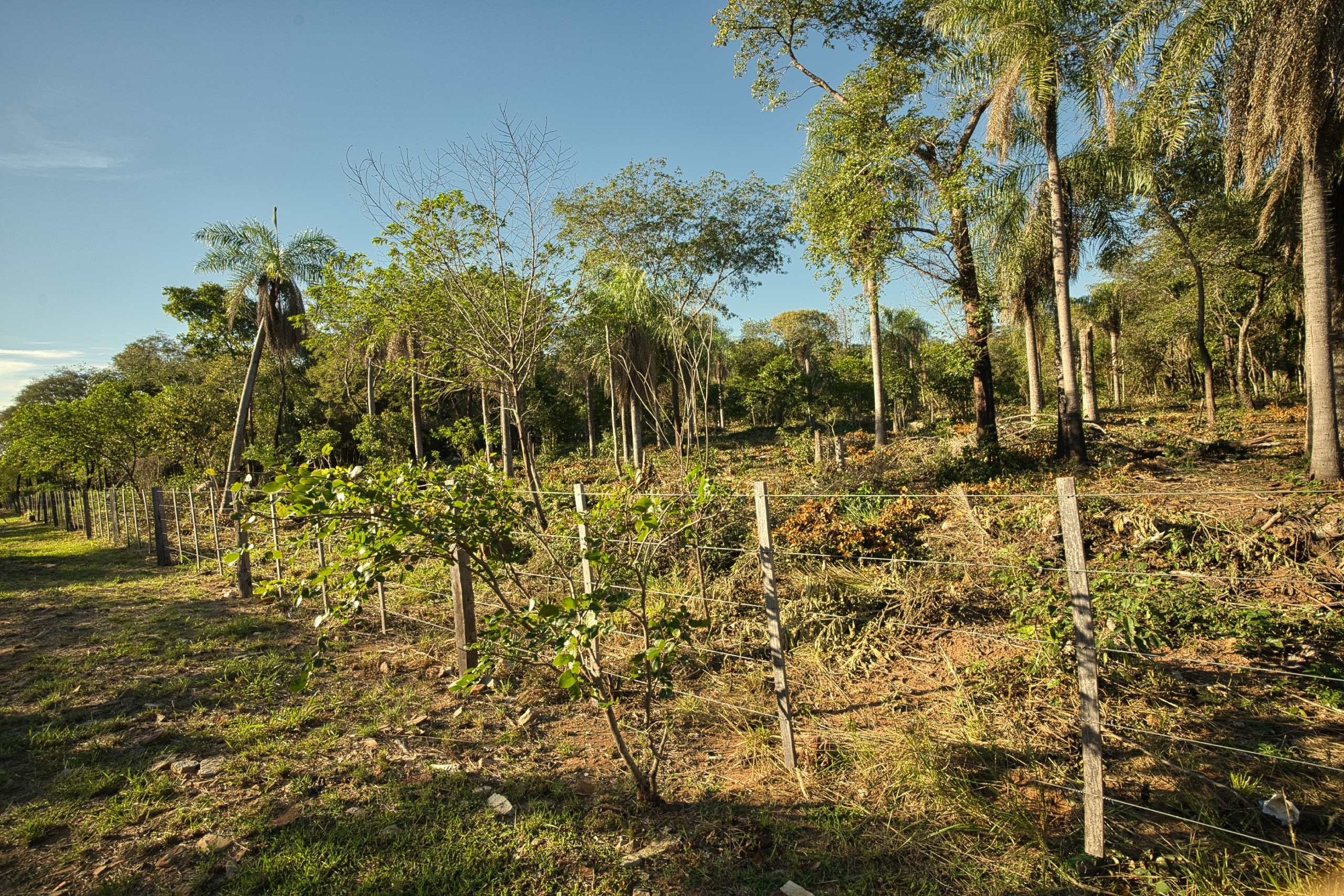 San Berno 1020625 Grunddsc 9096