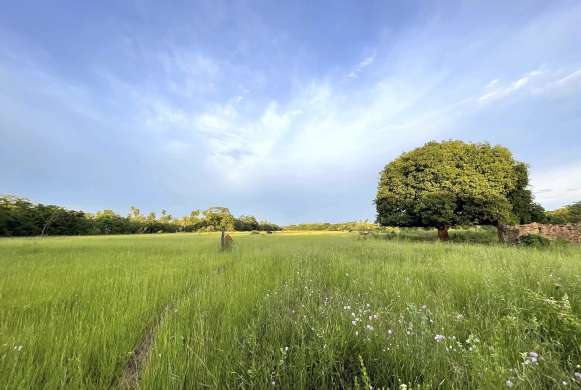 Altos Acunia Immobilien Kaufen Paraguay Heppner Lotes 02