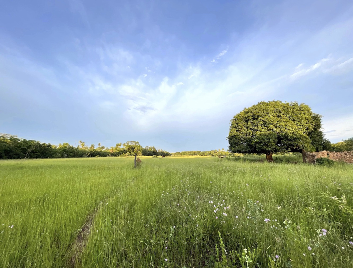 Altos Acunia Immobilien Kaufen Paraguay Heppner Lotes 02