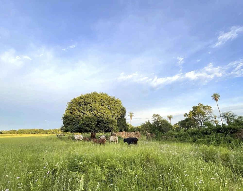 Altos Acunia Immobilien Kaufen Paraguay Heppner Lotes 05