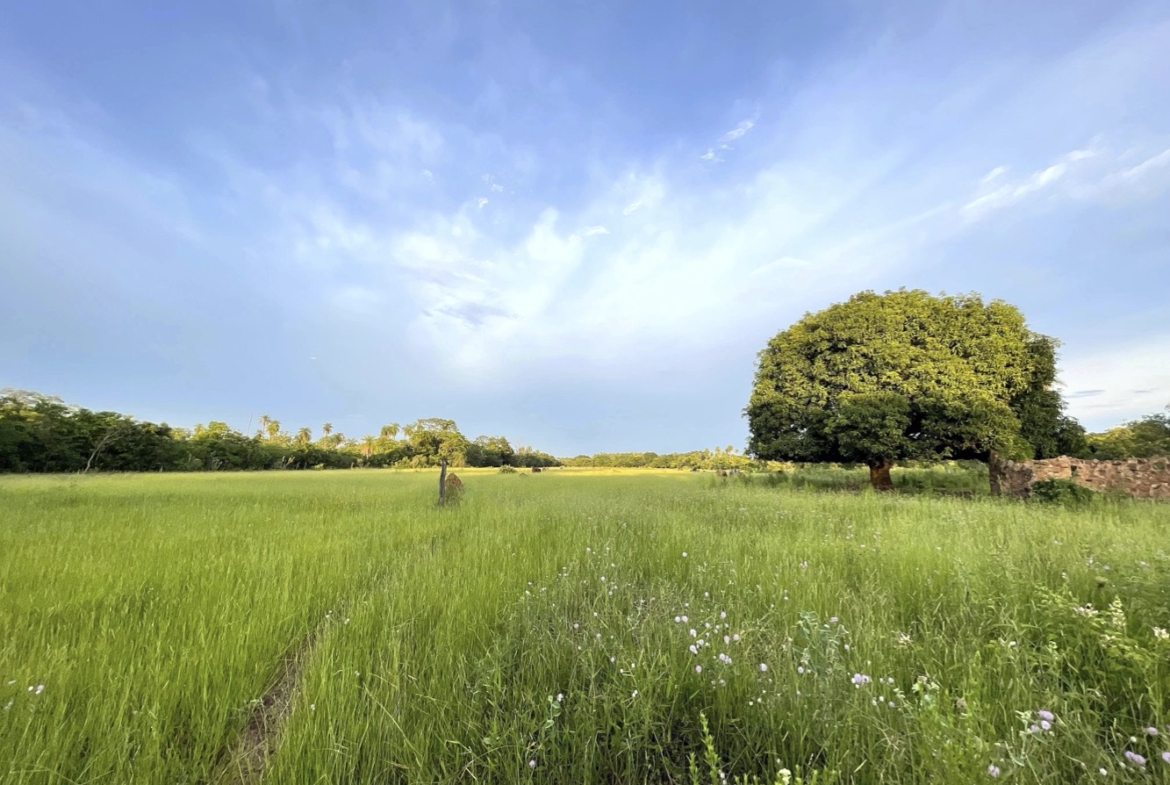 Altos Grundstueck Mit Haus Paraguay Heppner Lotes 01