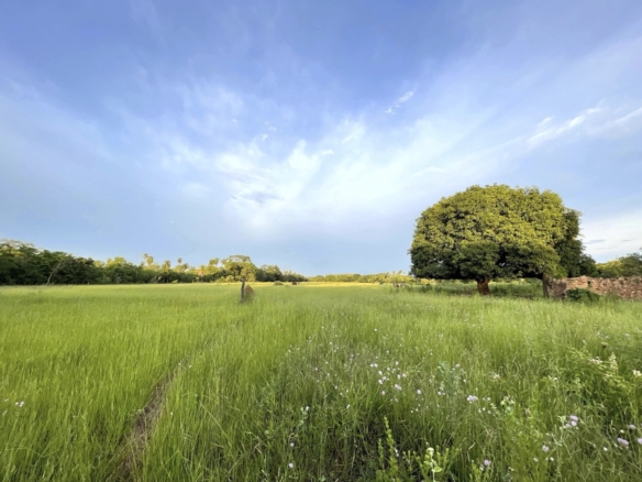 Altos Grundstueck Mit Haus Paraguay Heppner Lotes 01