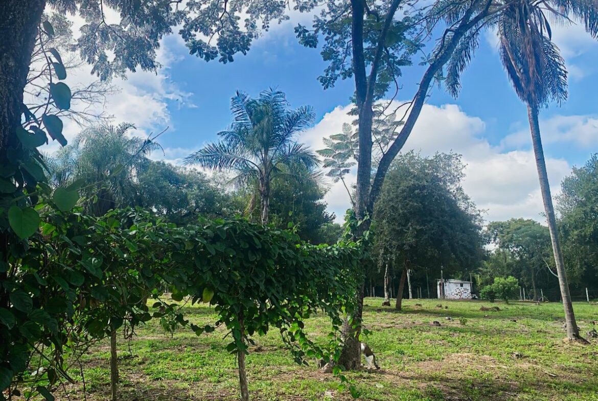 Caacupe Grundstueck Mit Haus Paraguay Heppner Lotes00017