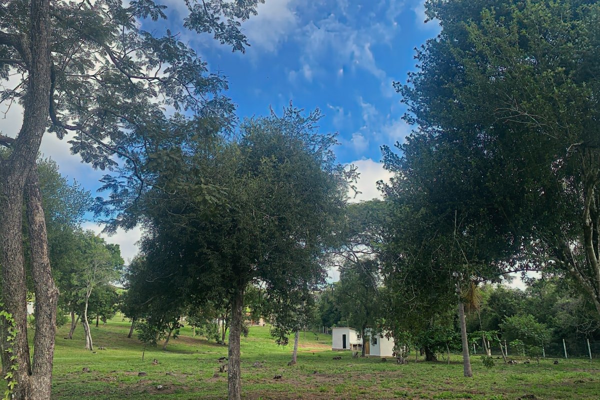 Caacupe Grundstueck Mit Haus Paraguay Heppner Lotes00018