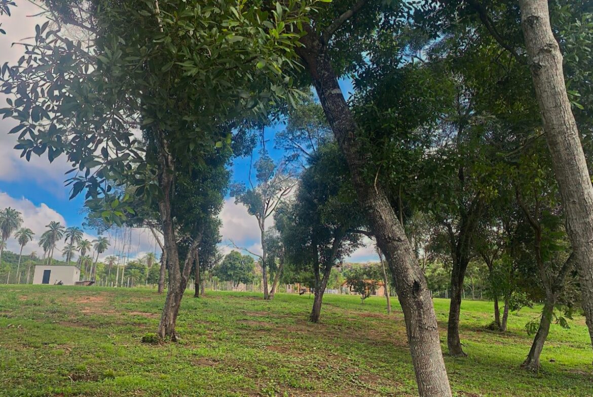 Caacupe Grundstueck Mit Haus Paraguay Heppner Lotes00019