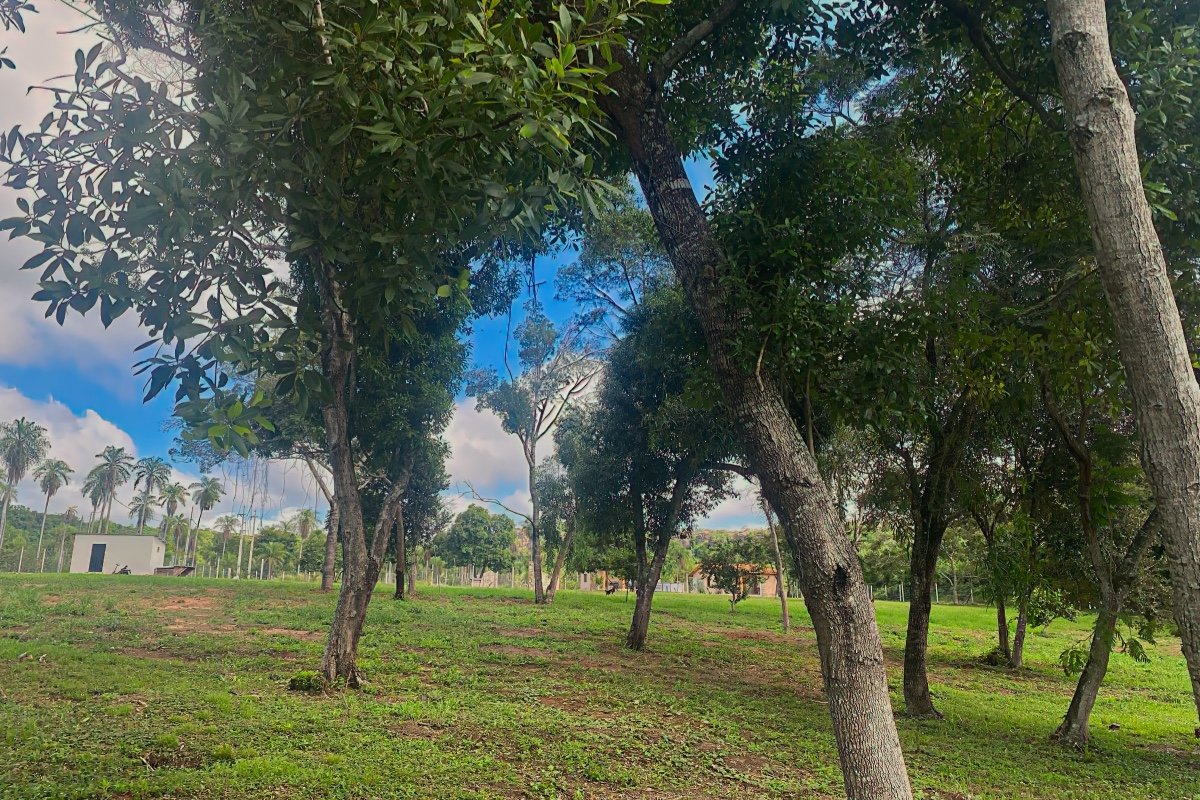 Caacupe Grundstueck Mit Haus Paraguay Heppner Lotes00019