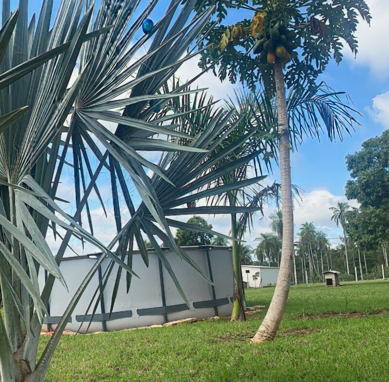 Caacupe Grundstueck Mit Haus Paraguay Heppner Lotes00021