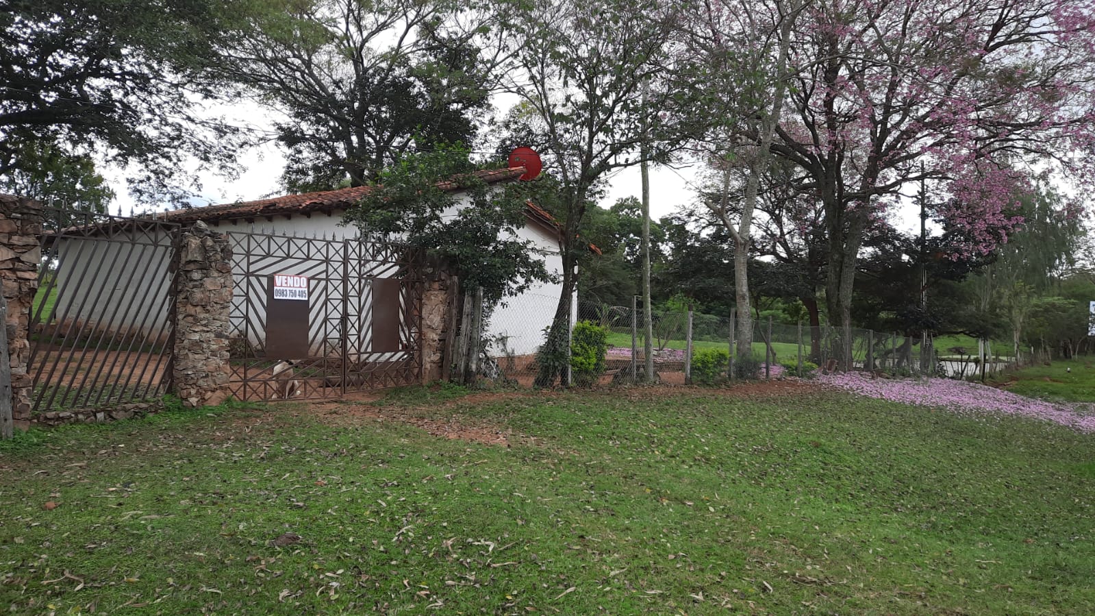 Al Ha 139 Altos Haus Paraguay Heppner Lotes Bild 1