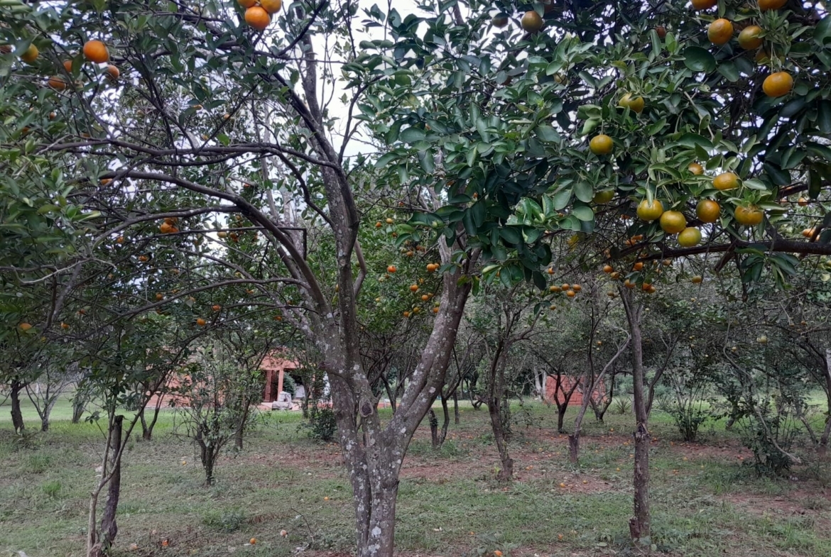 Al Ha 139 Altos Haus Paraguay Heppner Lotes Bild 11