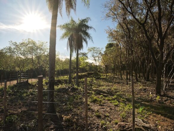 San Berno 1020625 Grunddsc 9090