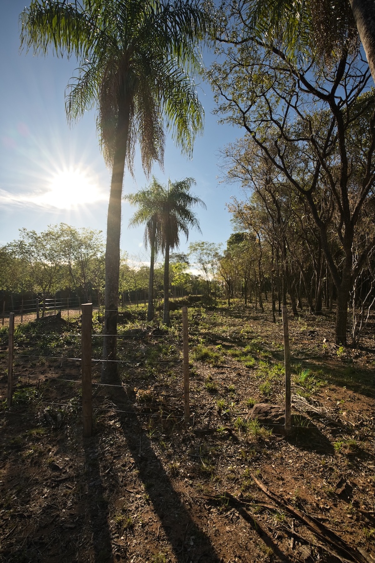 San Berno 1020625 Grunddsc 9090