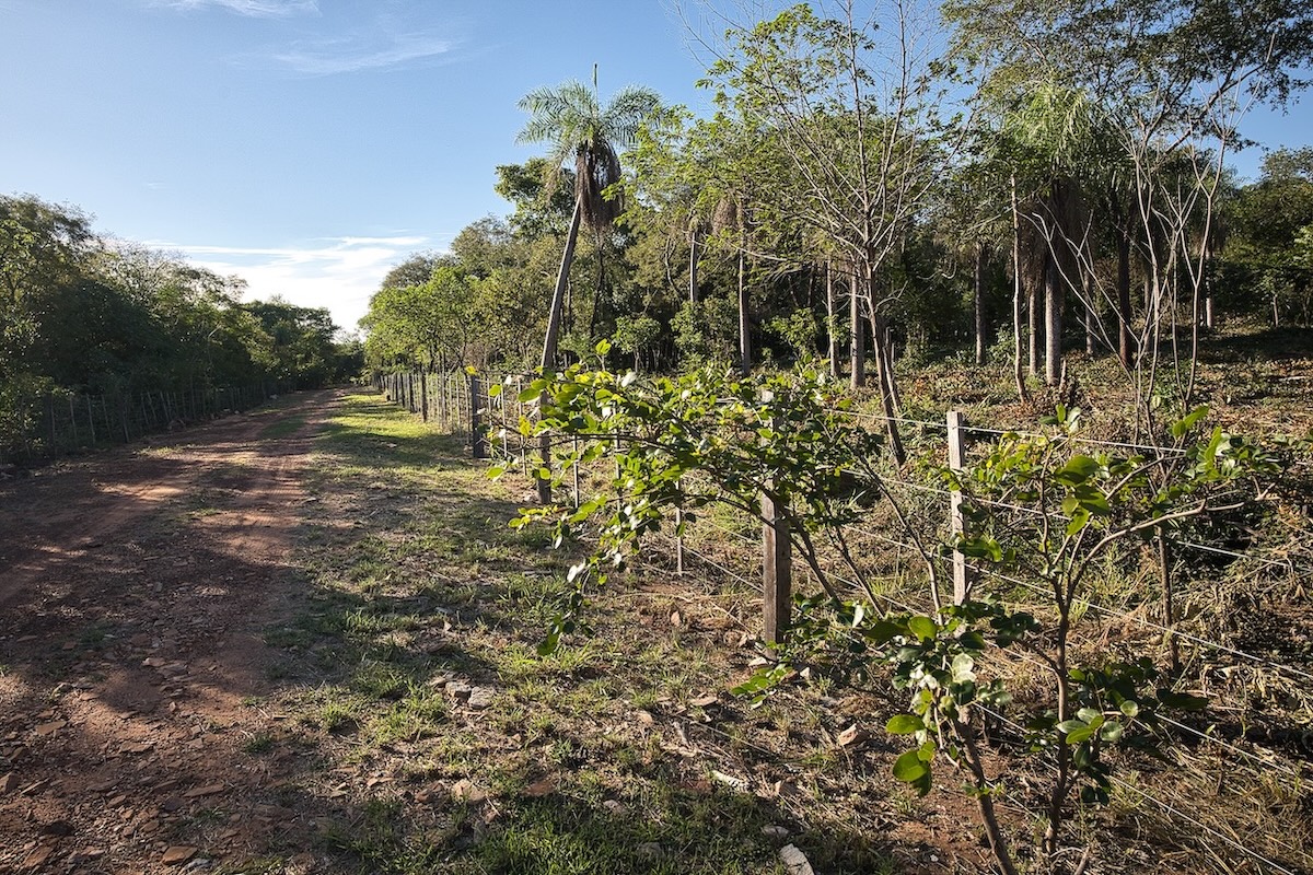 San Berno 1020625 Grunddsc 9095