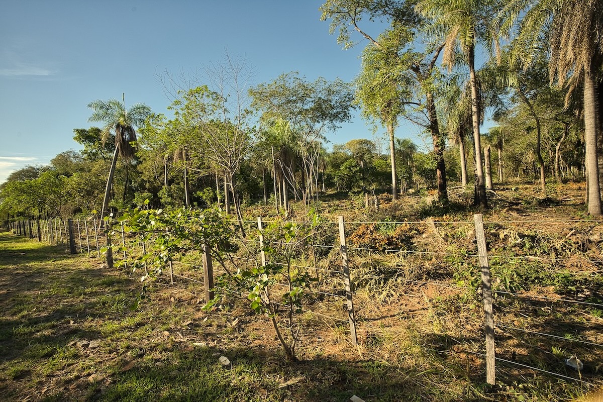 San Berno 1020625 Grunddsc 9096