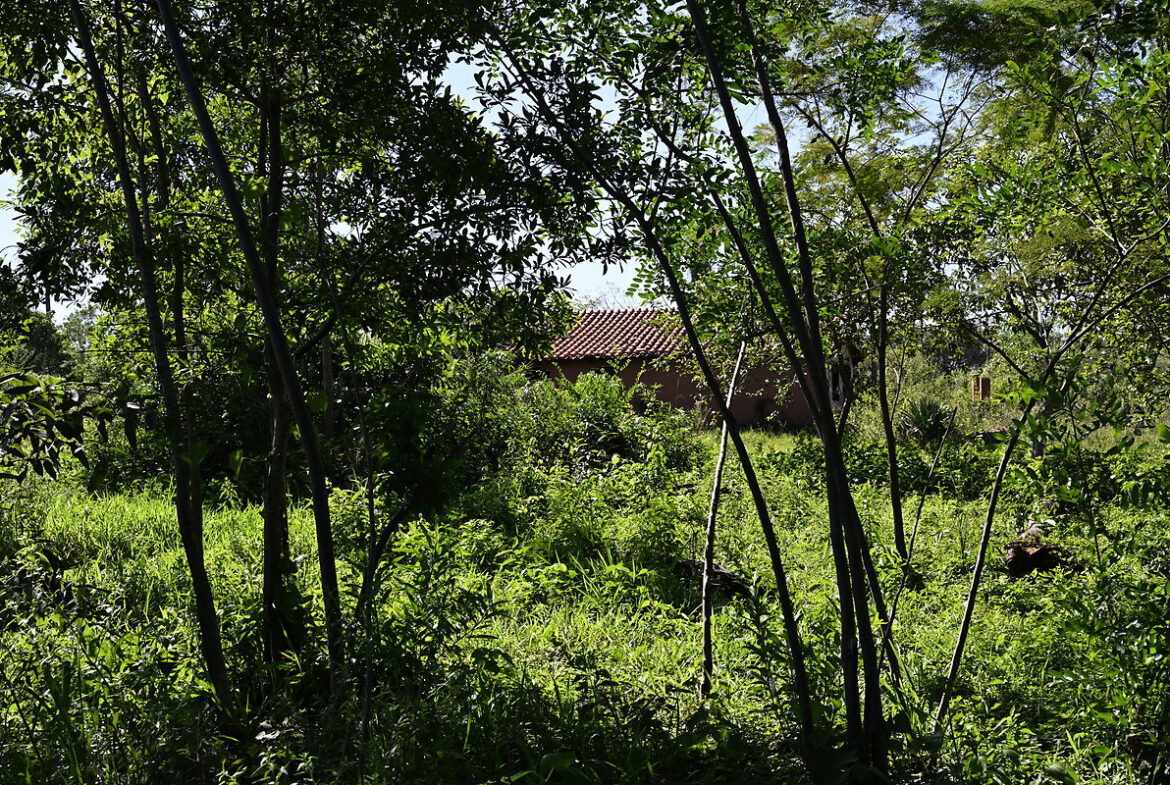 AL-GK-137-altos-haus-im-grünen-paraguay-heppner-lotes-bild-34