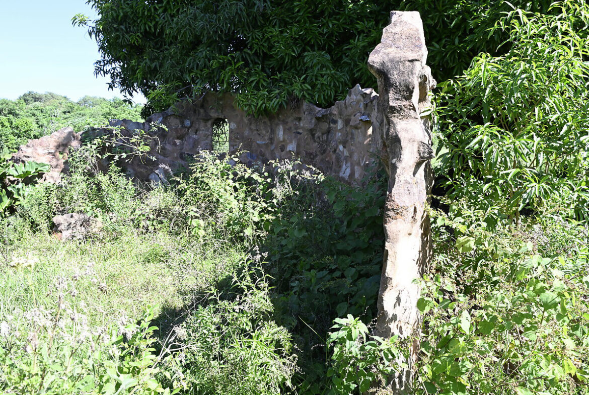AL-GK-137-altos-ruinen-mauer-paraguay-heppner-lotes-bild-9