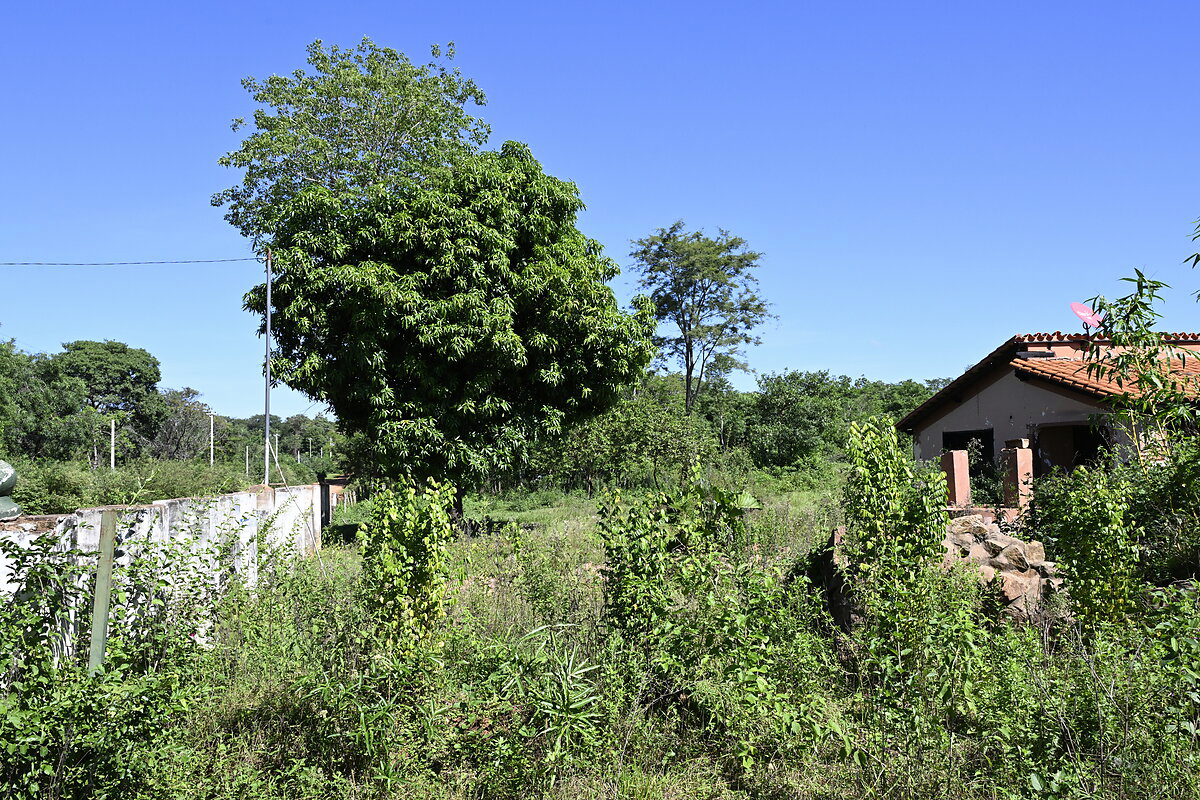AL-GK-137-altos-überwuchertes-haus-paraguay-heppner-lotes-bild-5