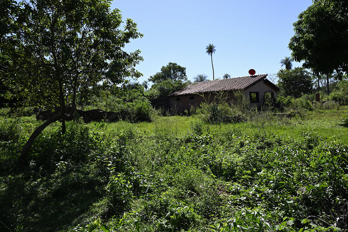 AL-GK-137-altos-verwildertes-haus-paraguay-heppner-lotes-bild-37