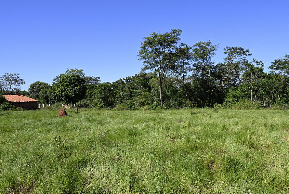 AL-GK-137-altos-weideland-haus-paraguay-heppner-lotes-bild-32
