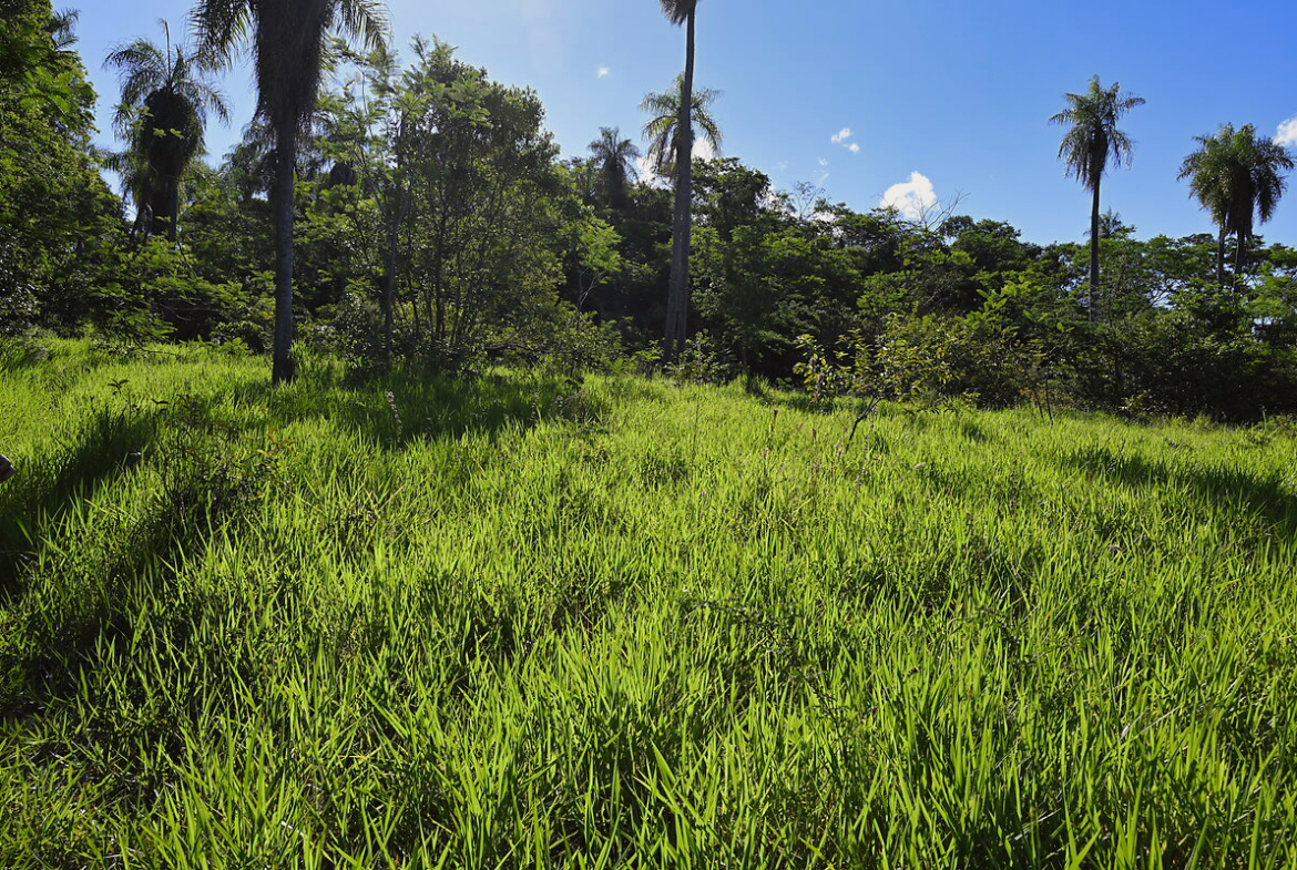Grundstücke in Altos Paraguay – Heppner Lotes
