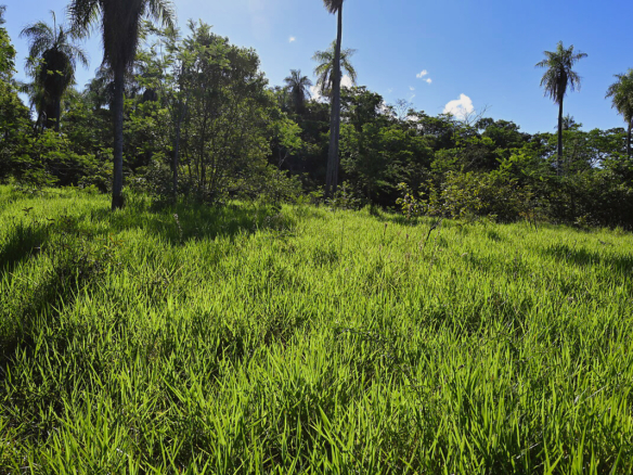 Grundstücke in Altos Paraguay – Heppner Lotes