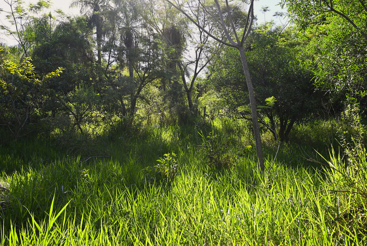 Grundstücke in Altos Paraguay – Heppner Lotes