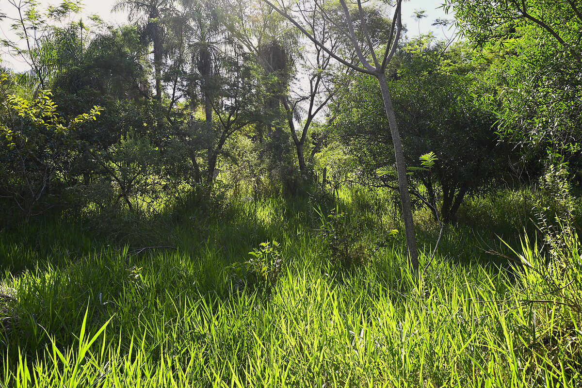 Grundstücke in Altos Paraguay – Heppner Lotes