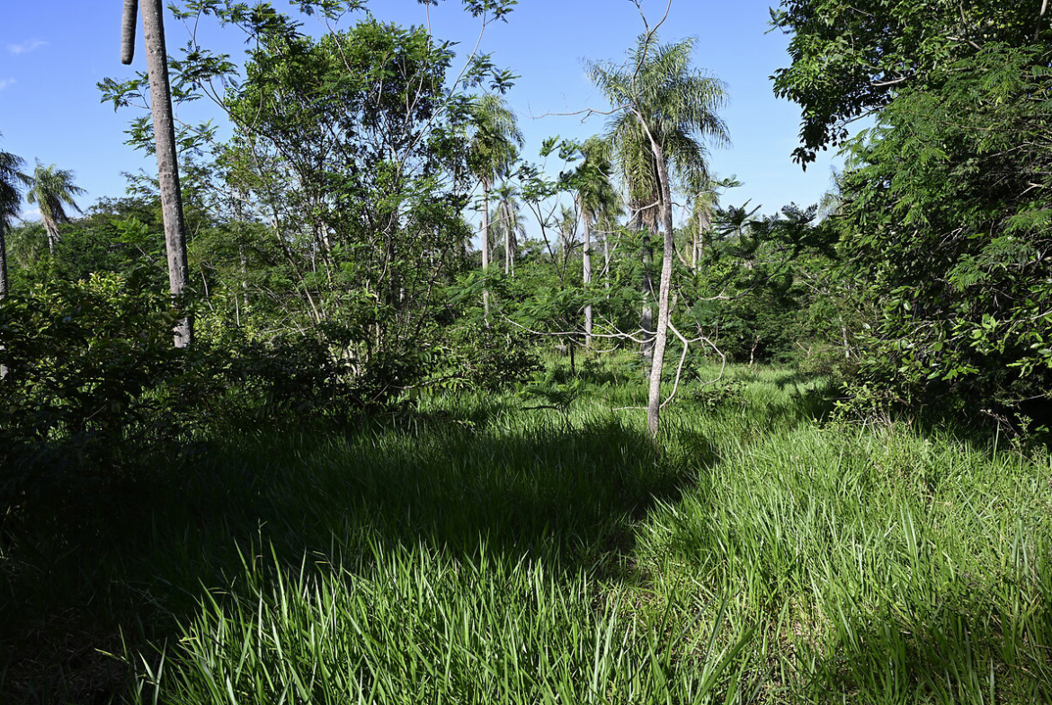 Grundstücke in Altos Paraguay – Heppner Lotes