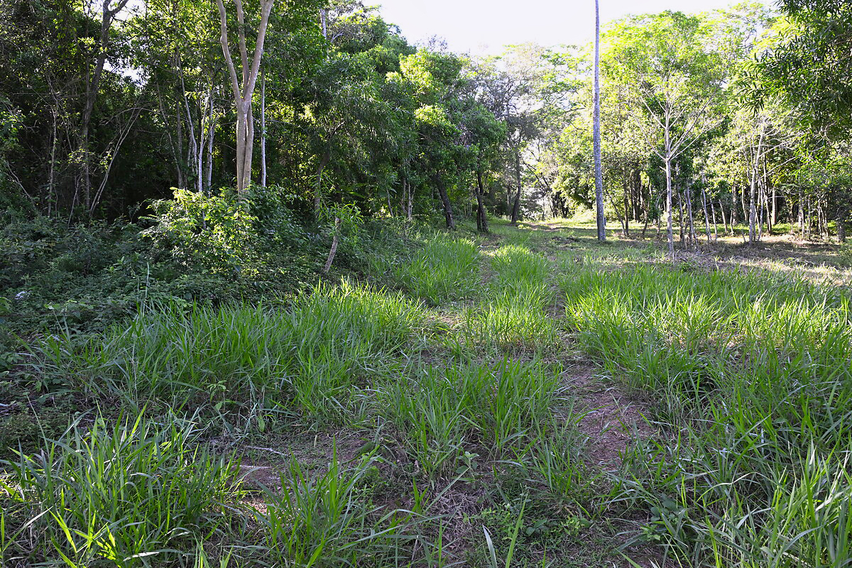 Grundstücke in Altos Paraguay – Heppner Lotes