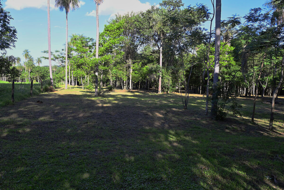 Grundstücke in Altos Paraguay – Heppner Lotes