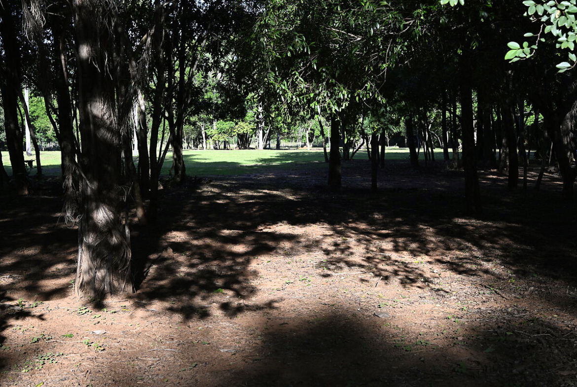 Grundstücke in Altos Paraguay – Heppner Lotes