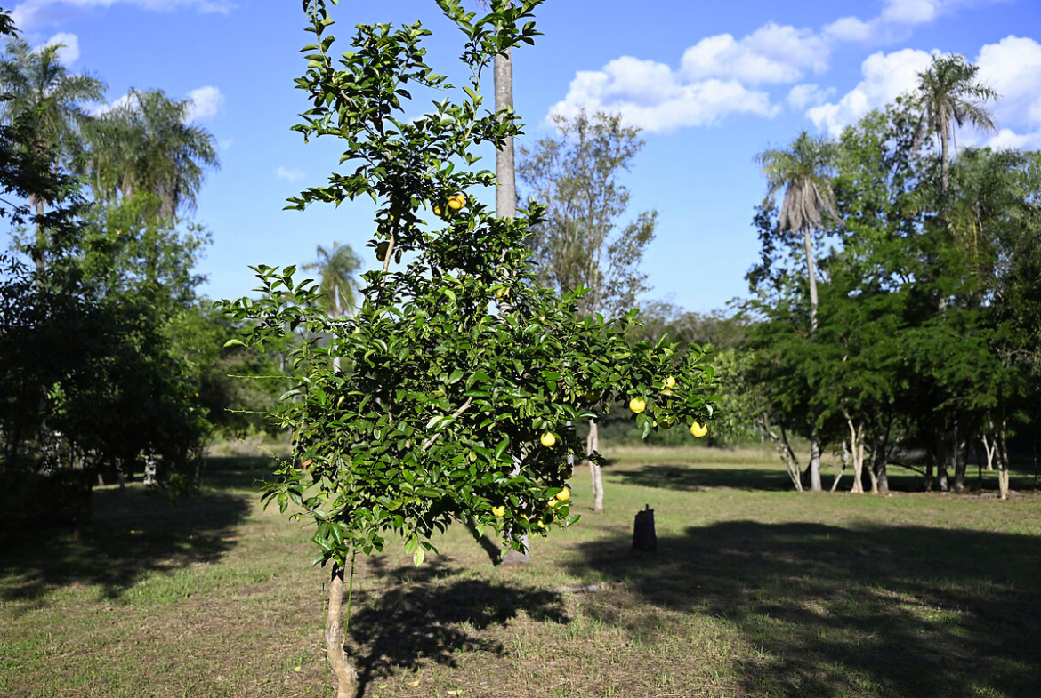 Grundstücke in Altos Paraguay – Heppner Lotes
