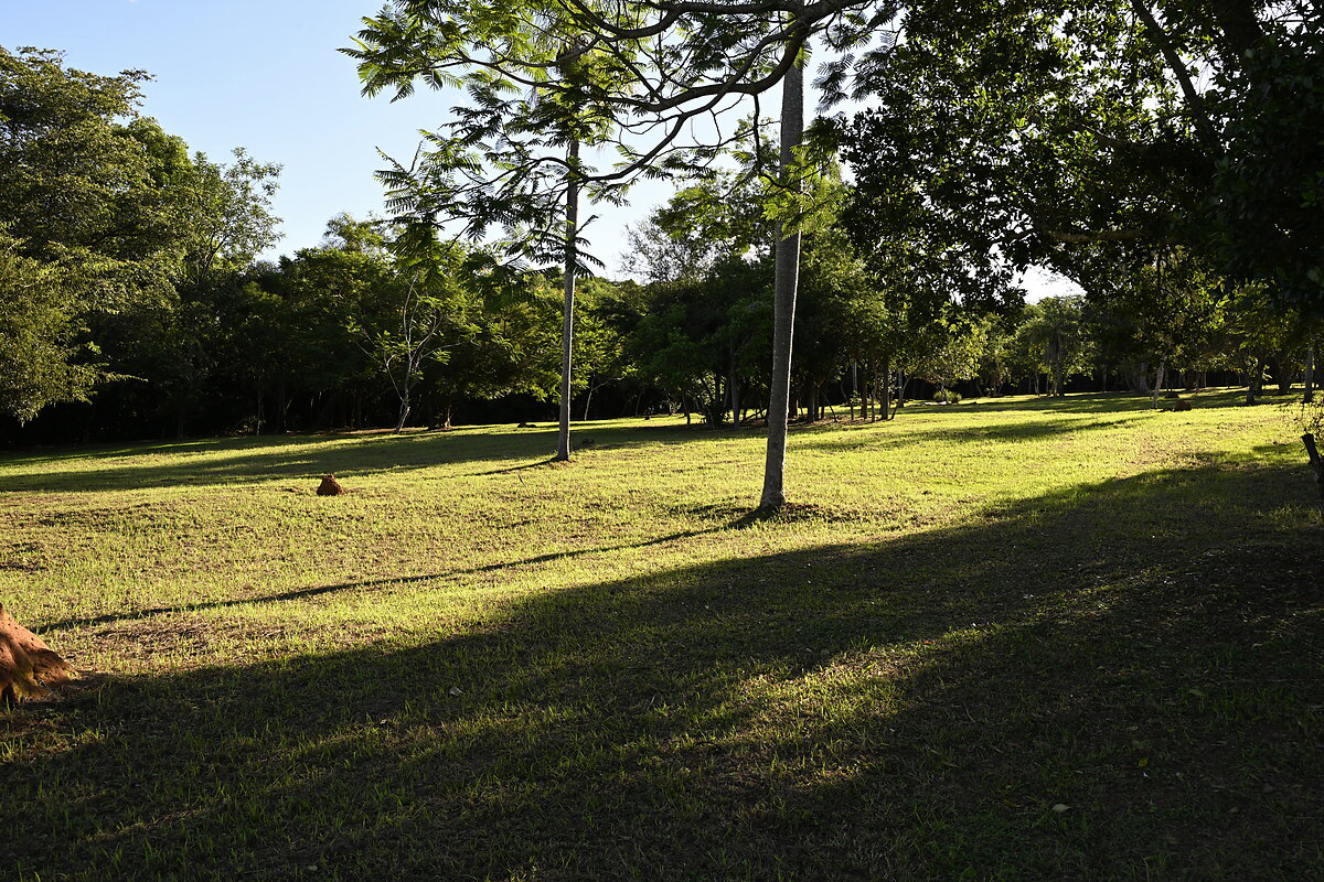 Grundstücke in Altos Paraguay – Heppner Lotes