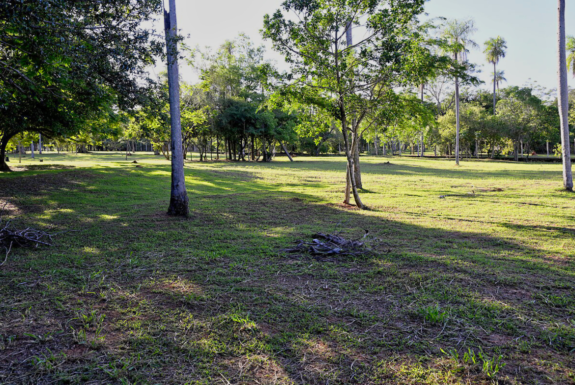 Grundstücke in Altos Paraguay – Heppner Lotes