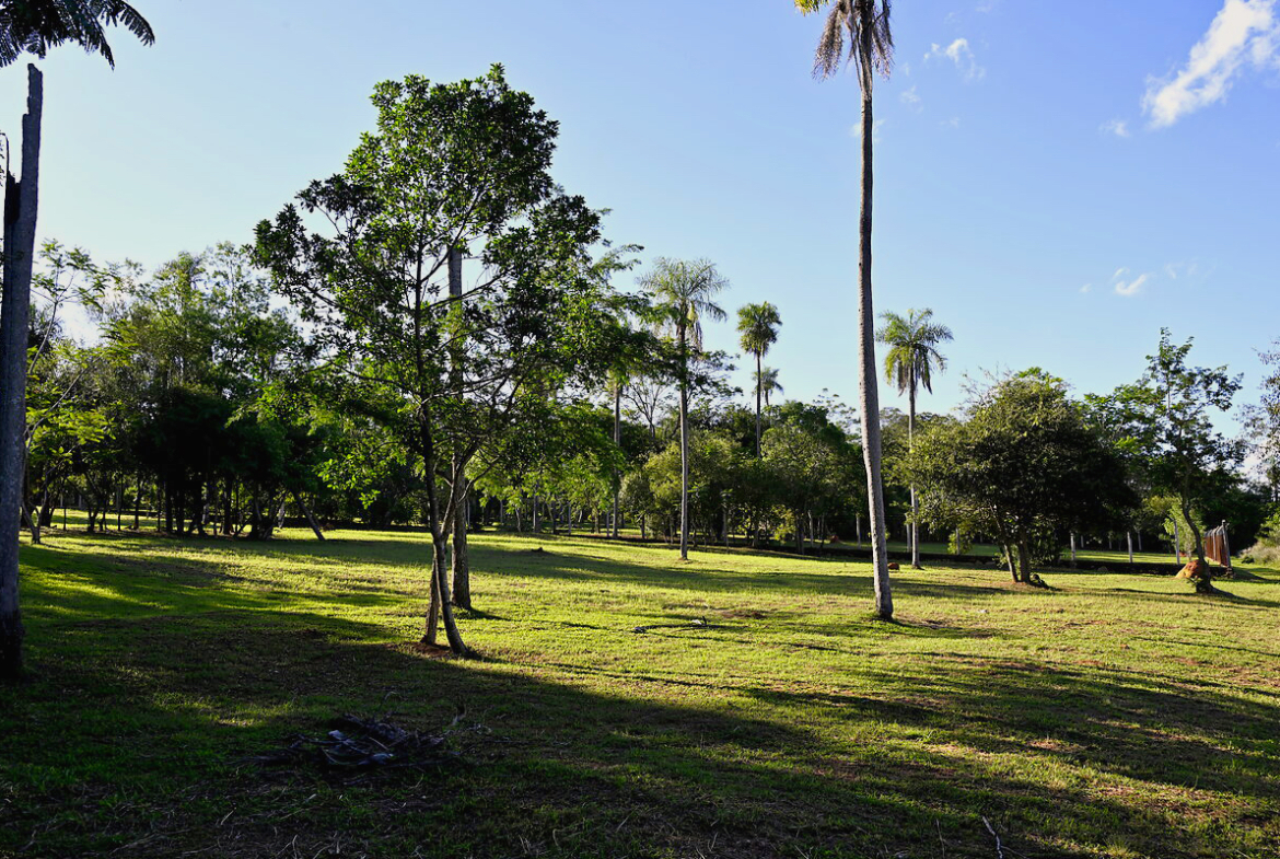 Grundstücke in Altos Paraguay – Heppner Lotes
