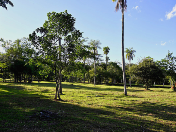Grundstücke in Altos Paraguay – Heppner Lotes