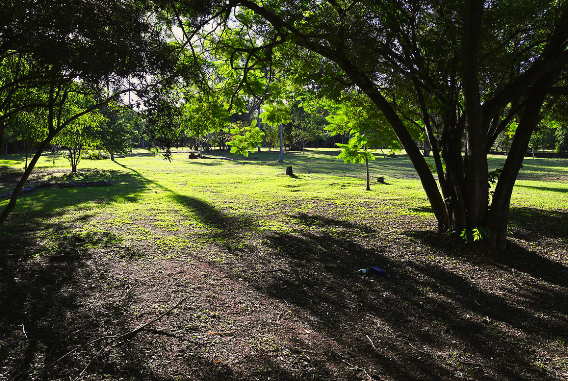 Grundstücke in Altos Paraguay – Heppner Lotes
