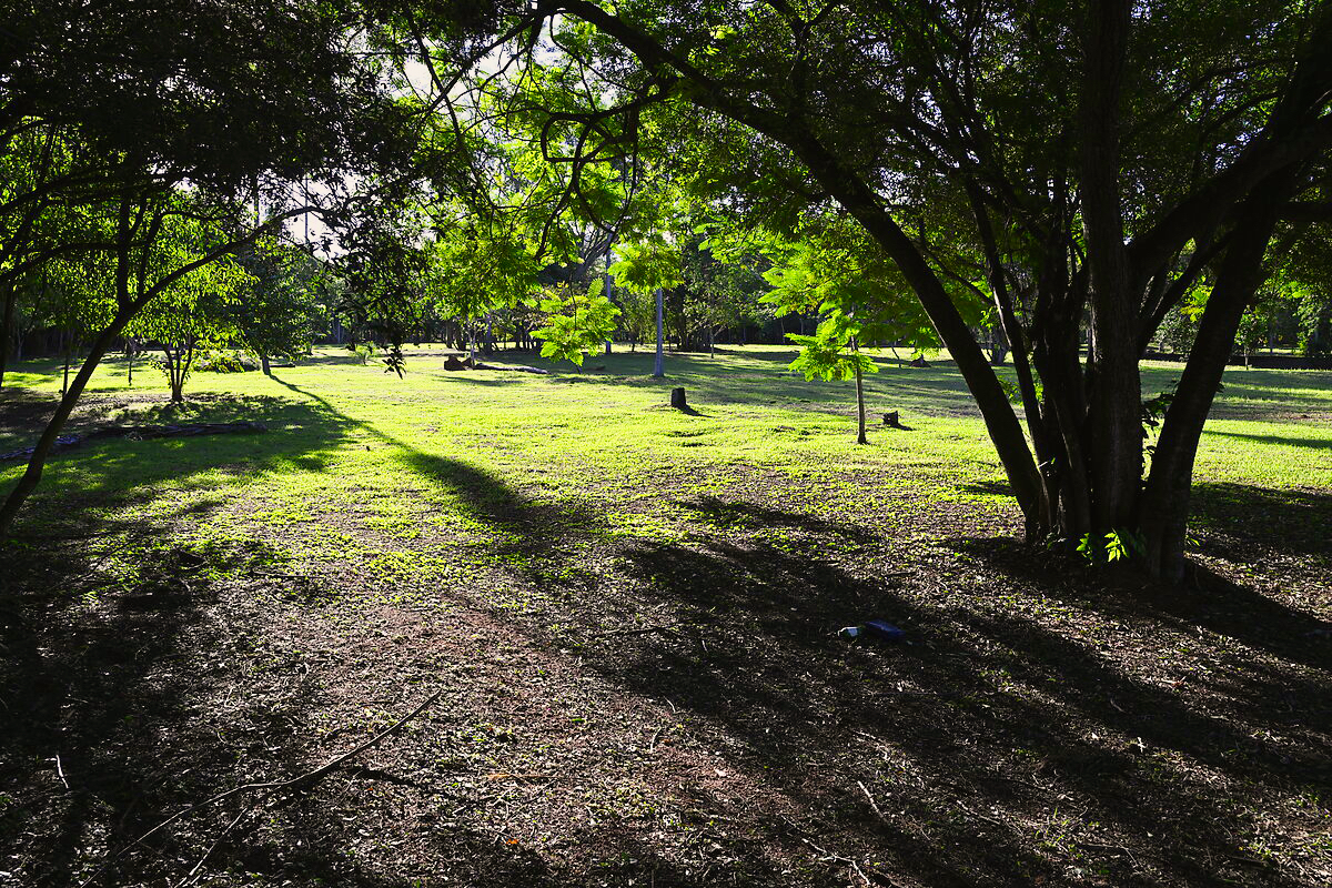 Grundstücke in Altos Paraguay – Heppner Lotes