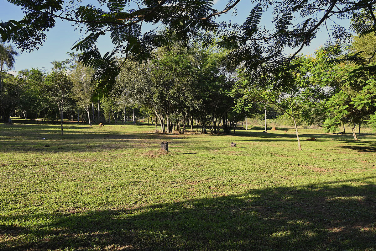 Grundstücke in Altos Paraguay – Heppner Lotes