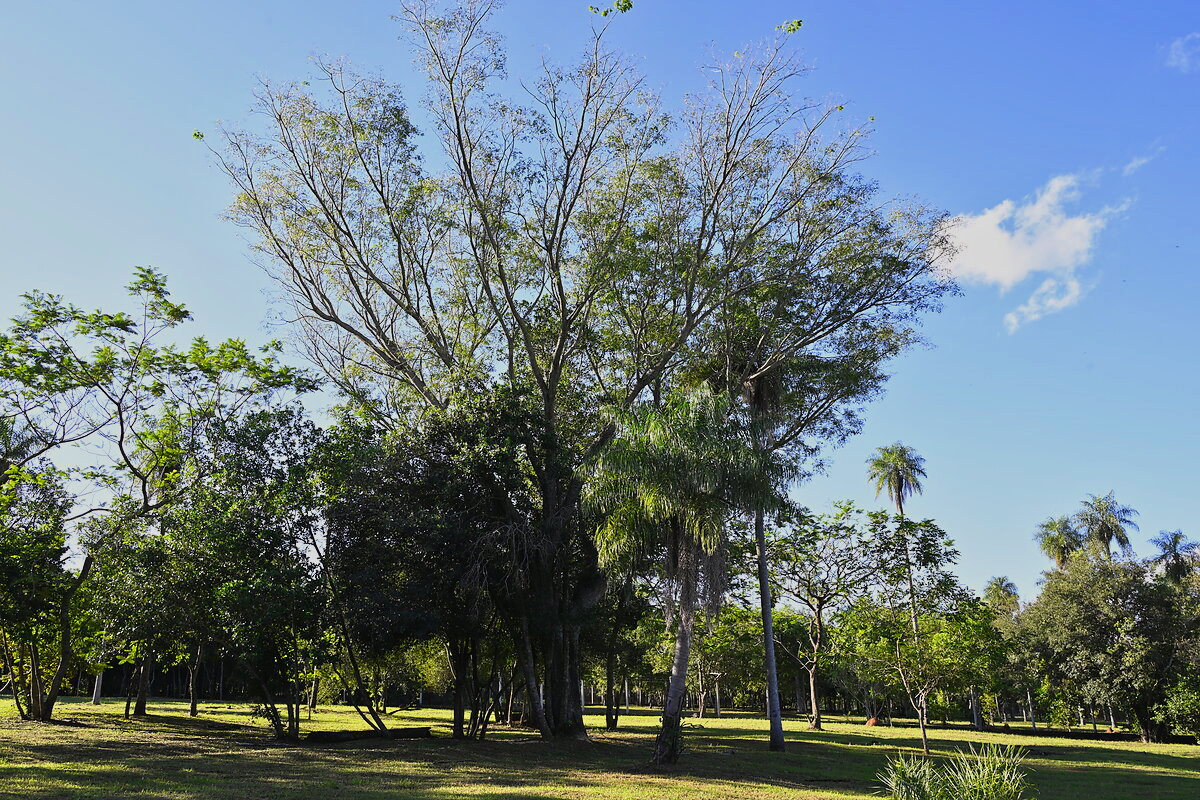 Grundstücke in Altos Paraguay – Heppner Lotes