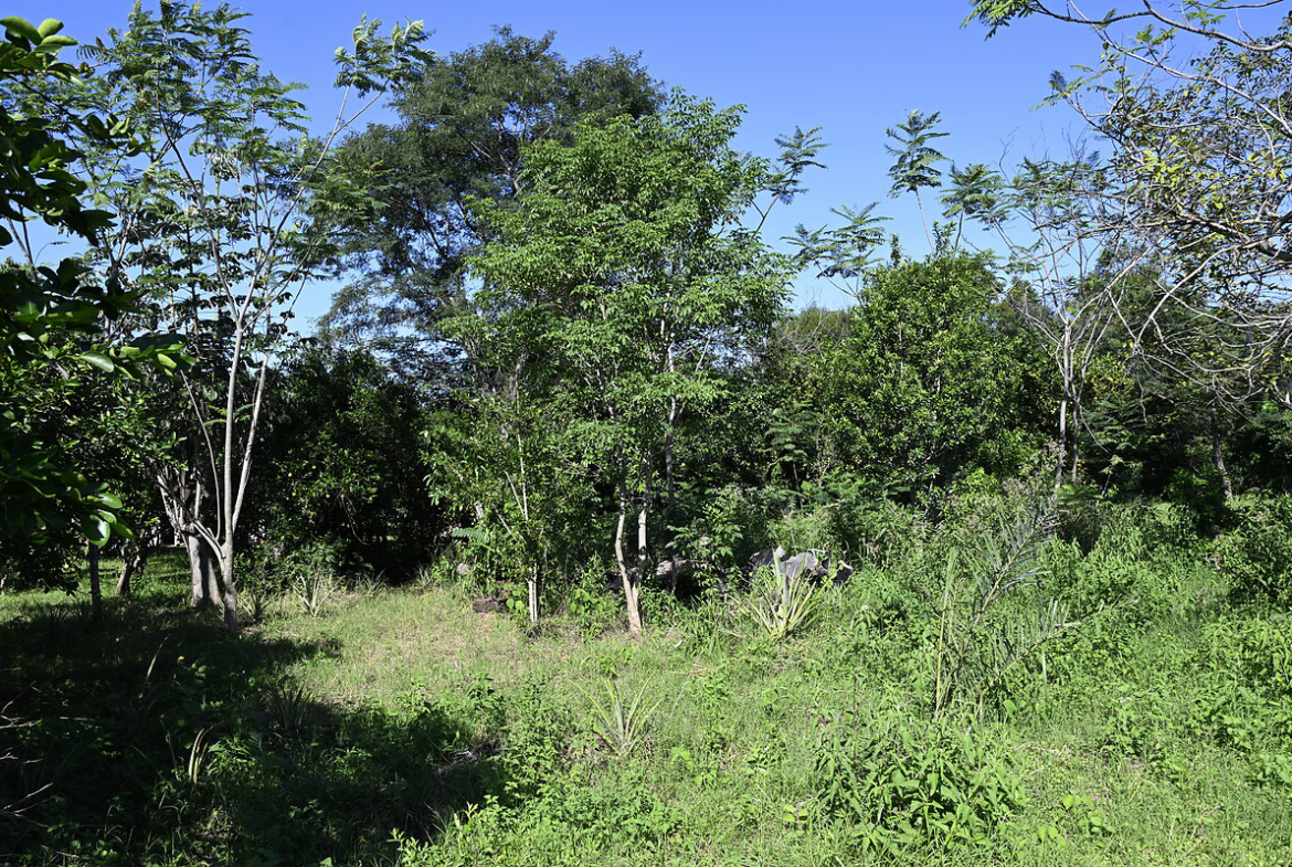 Häuser in Atyra Paraguay – Heppner Lotes