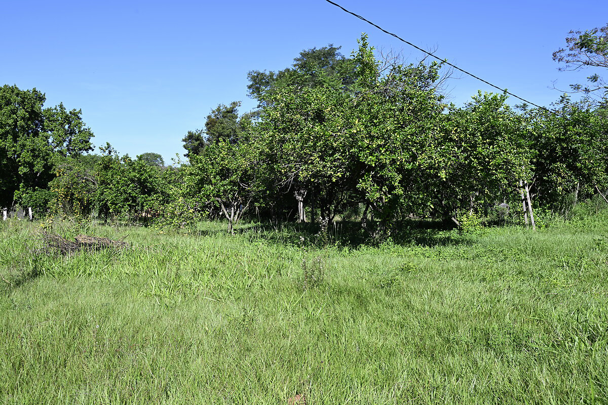 Häuser in Atyra Paraguay – Heppner Lotes