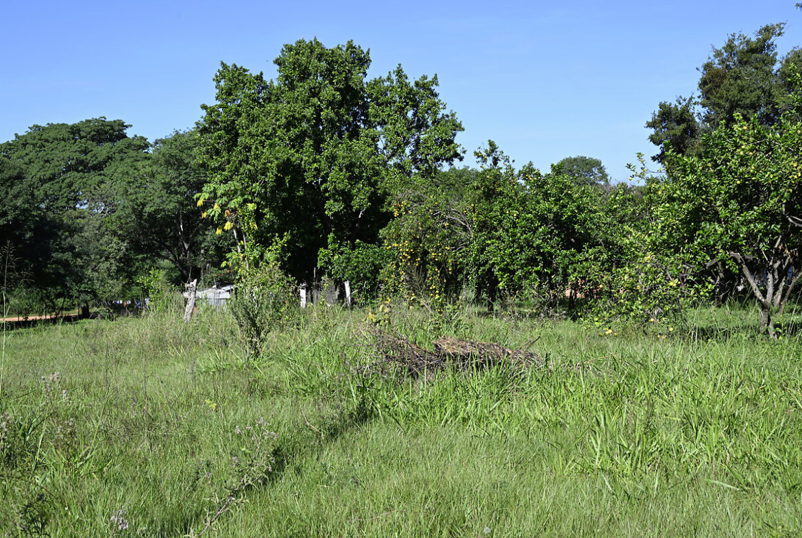 Häuser in Atyra Paraguay – Heppner Lotes