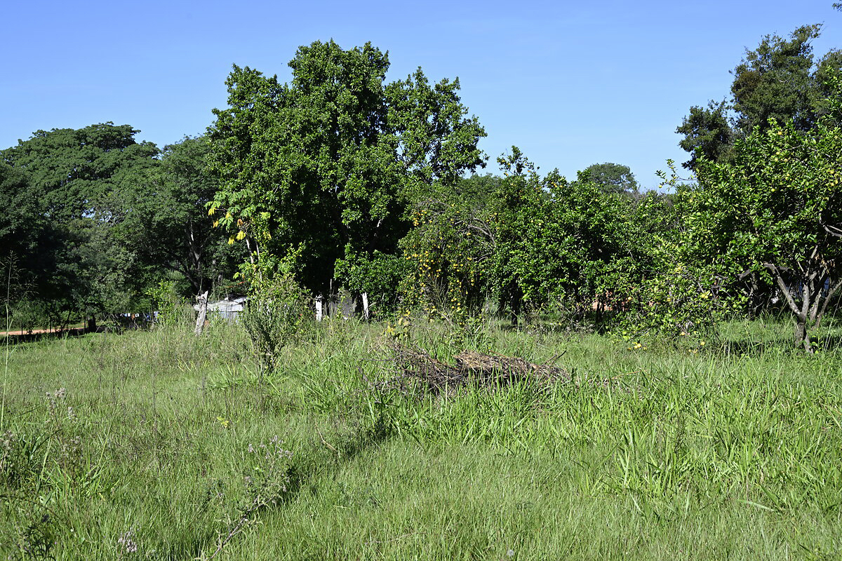 Häuser in Atyra Paraguay – Heppner Lotes