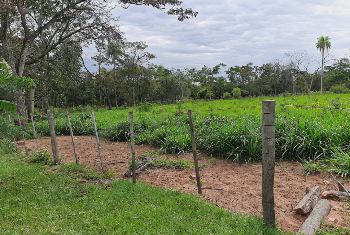 Grundstück mit Bäumen in Altos Paraguay – Heppner Lotes