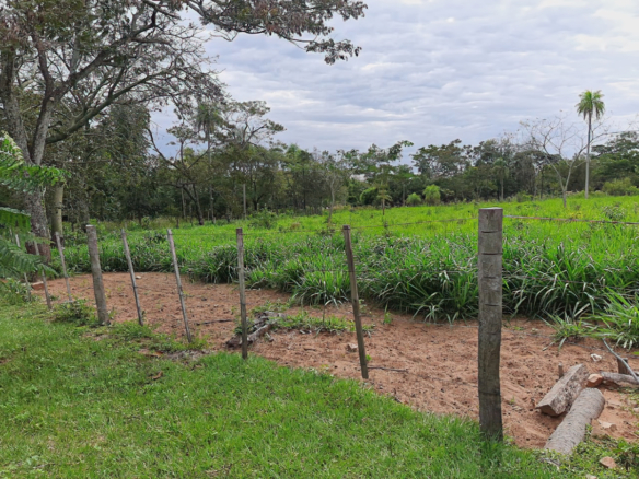 Grundstück mit Bäumen in Altos Paraguay – Heppner Lotes