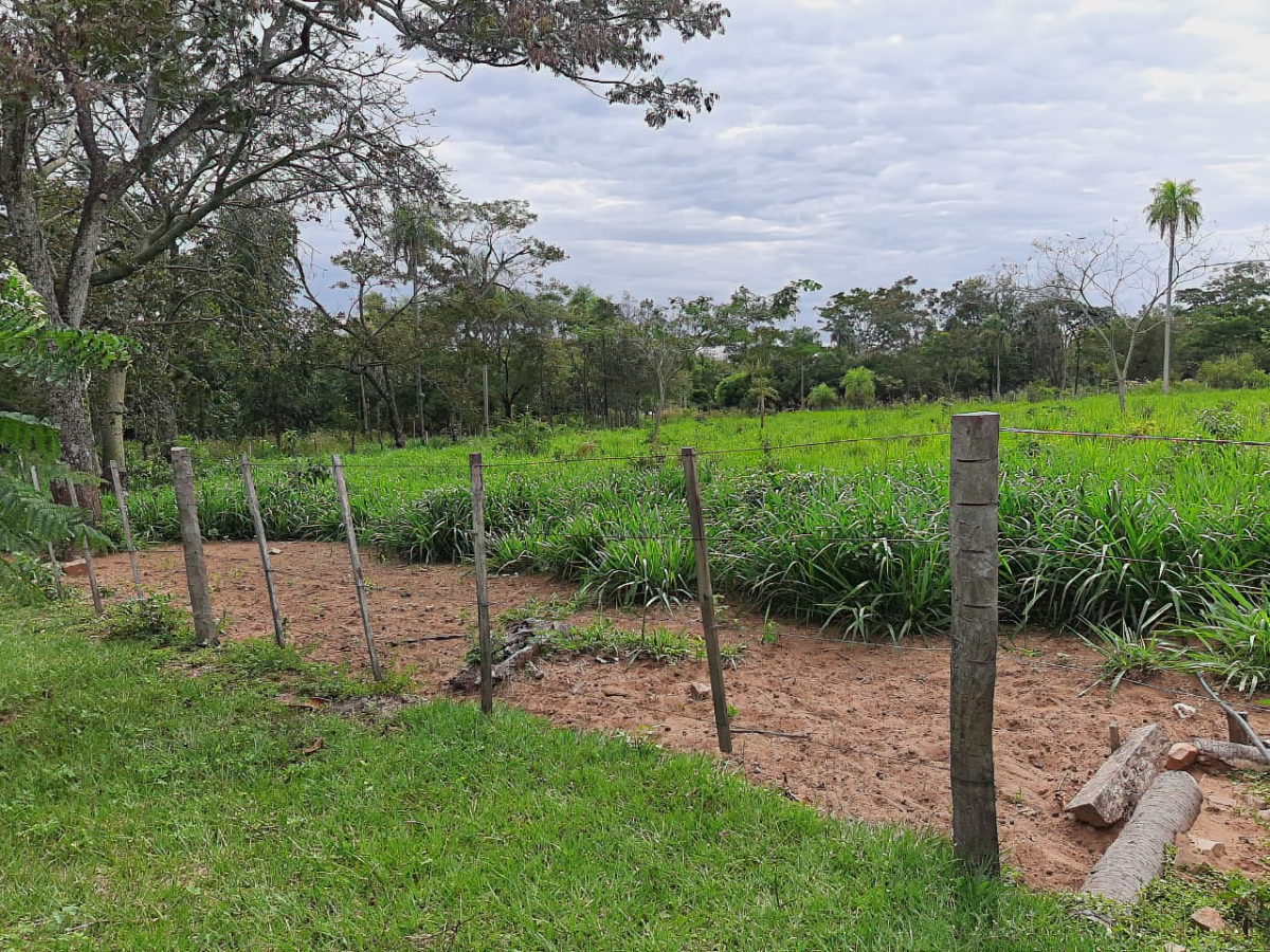 al-gk-145-altos-grundstueck-baeume-paraguay-heppner-lotes.jpeg Grundstück mit Bäumen in Altos Paraguay – Heppner Lotes