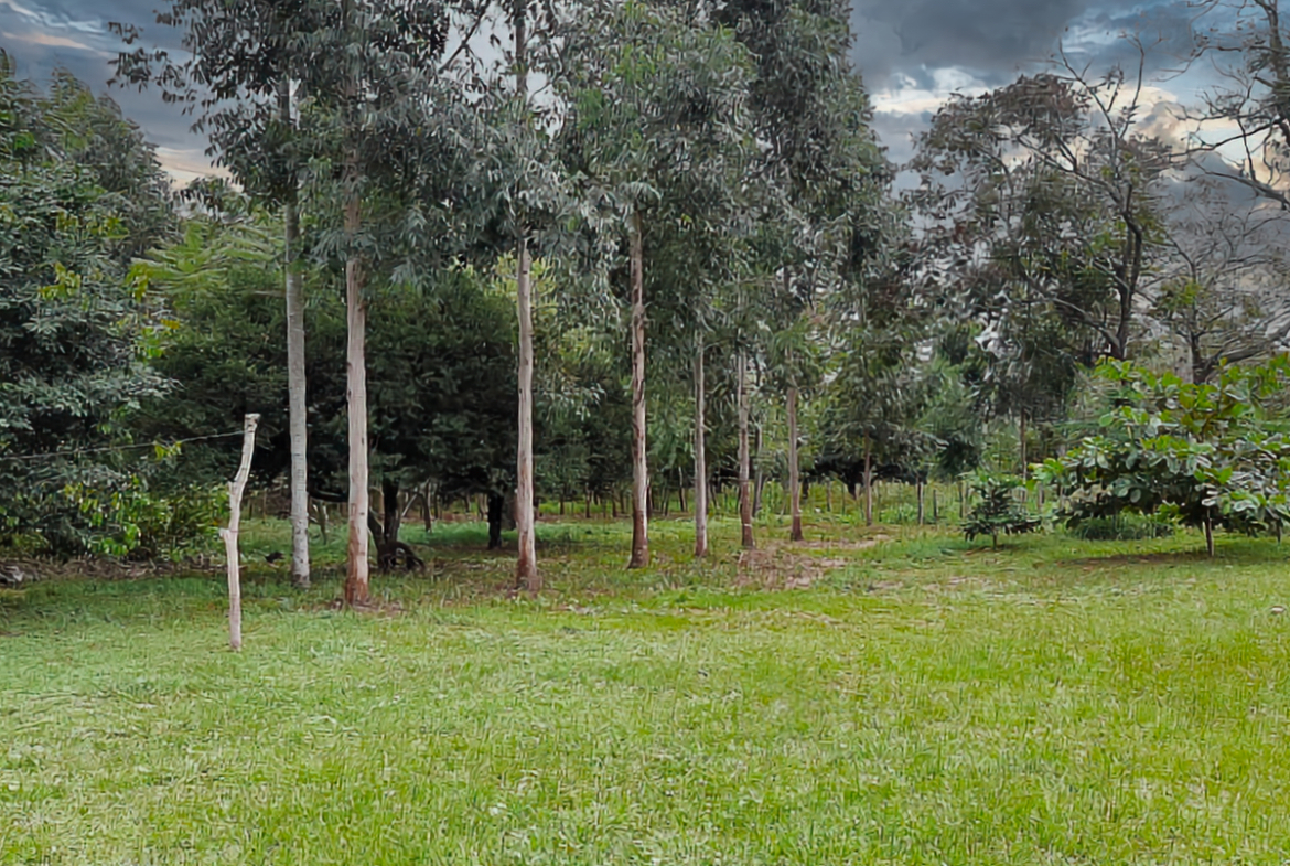 Grundstück mit Panoramablick in Altos Paraguay – Heppner Lotes